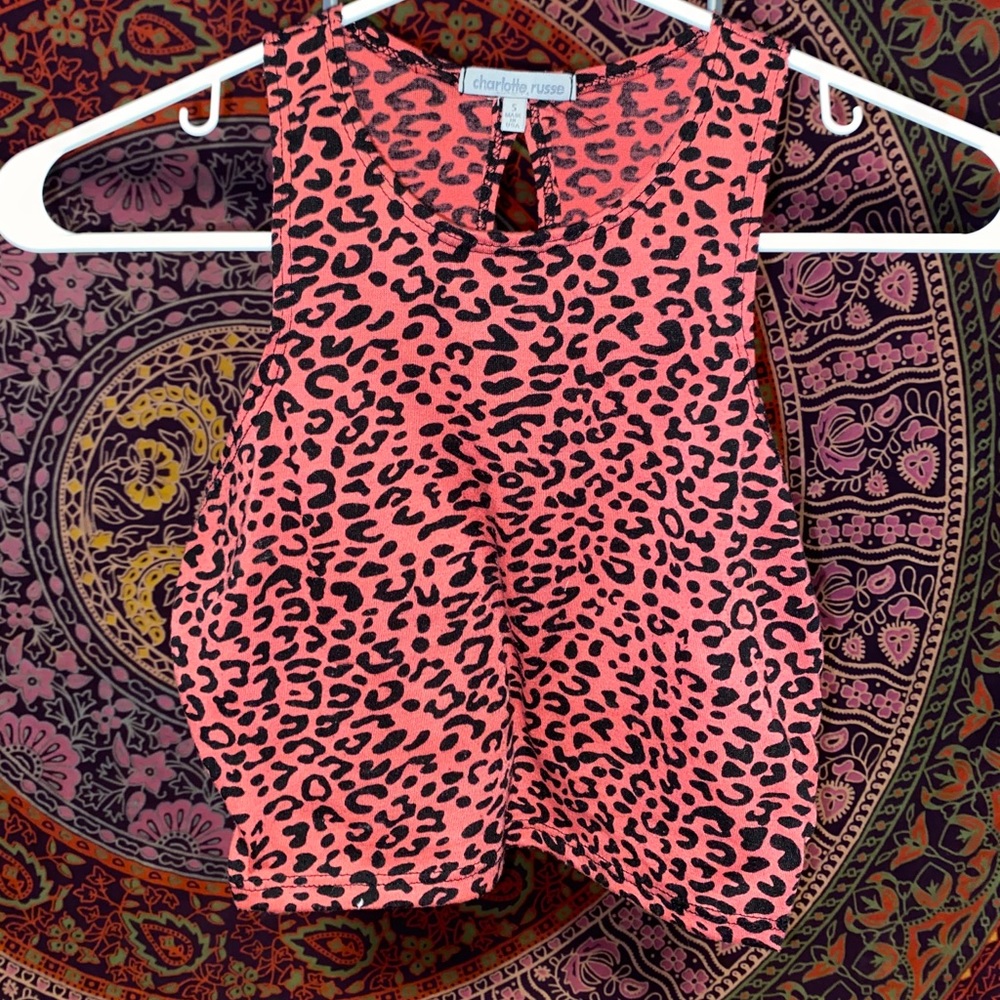 Cheetah girls cheetah sisters